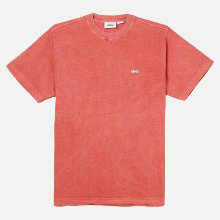 Lowercase Pigment Tee Ss